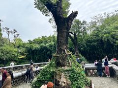 -习家池