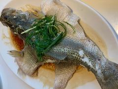 -至潮餐厅精致粤菜·活鲈鱼·走地鸡(珠江新城店)
