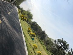 -潇河湿地公园
