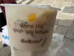 -猫的魔法密林(衣裳街店)