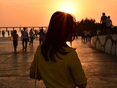 -宝安西湾红树林湿地公园