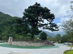 -秦岭终南山世界地质公园翠华山景区