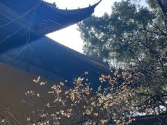 -西园戒幢律寺