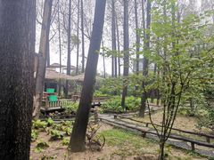 -林间山庄