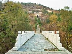 -白水寺森林公园