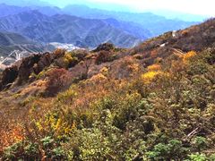 -白草畔自然风景区