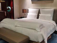 -广州白云机场雅高铂尔曼大酒店
