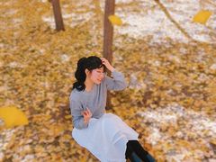 -森林公园(尖草坪区)