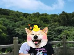 -普陀山风景区-佛顶山