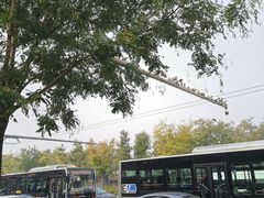 -秋栗香(地安门店)
