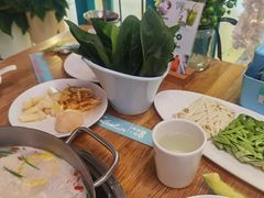 -青瓷火锅料理(西单大悦城店)