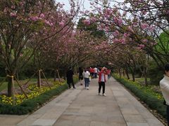 -南山植物园