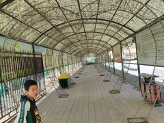 -草根堂农场