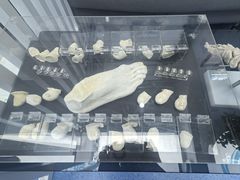 -Andrew指甲专科灰指甲·甲沟炎矫正·3D步态矫形鞋垫定制(上海法华镇路旗舰店)