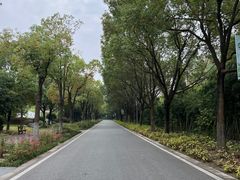 -武汉园博园(武汉自然博物馆)
