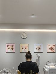 -洗脸猫·洗脸吧