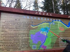 -汤旺河林海奇石景区
