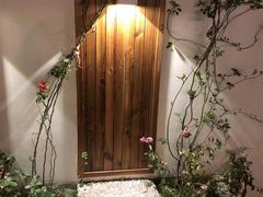 -喵屿·大理花园猫咖