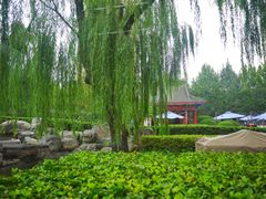 景观位-咖啡CHA自助餐厅(香格里拉饭店)