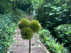 -天目湖涵田度假村