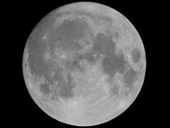 -老东吴食府(雅都店)