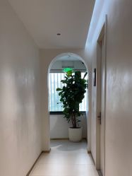 -WENDY·温迪皮肤管理