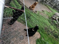 -无锡动物园·太湖欢乐园