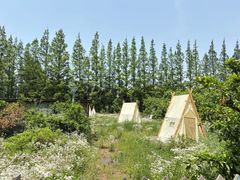 -前小桔亲子创意农场·草莓采摘·露营烧烤