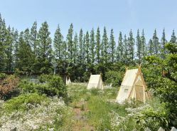 -前小桔亲子创意农场·草莓采摘·露营烧烤