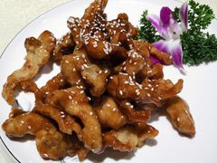 -新侨小馆(东直门北小街店)
