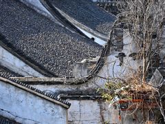 -青果巷历史文化街区