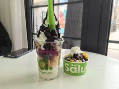 -Salud撒露欧洲冻酸奶(798艺术区店)