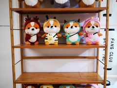 -柴迷FANS CLUB·柴犬狗咖·猫咖