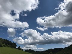 -关山草原