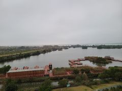 -芒洲湿地公园