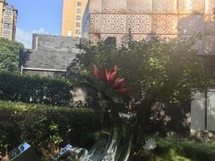 -陈家山荷花公园