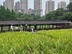 -龙头寺公园