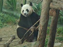 -大连森林动物园