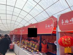 -秀丽东方