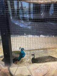 -酷嗒动物文化乐园(cutezoo西溪乐天城店)