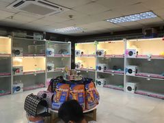 -lincat·猫舍(广州店)