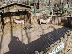 -天津市动物园