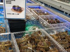 -盒马X会员店(上海森兰商都店)