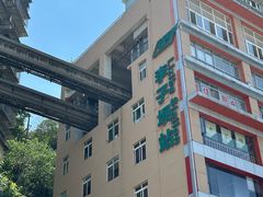 -李子坝梁山鸡(李子坝大鸡哥店)