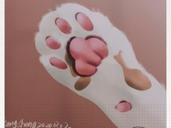 -海珠新都荟城光荟(海珠店)