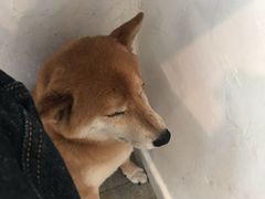-三目仓咖啡(贤南路店)