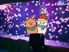 -石家庄极地海洋世界