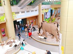 -陕西自然博物馆