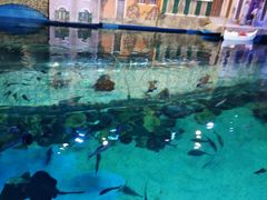 -华夏文旅海洋公园