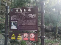 -藏龙百瀑风景区